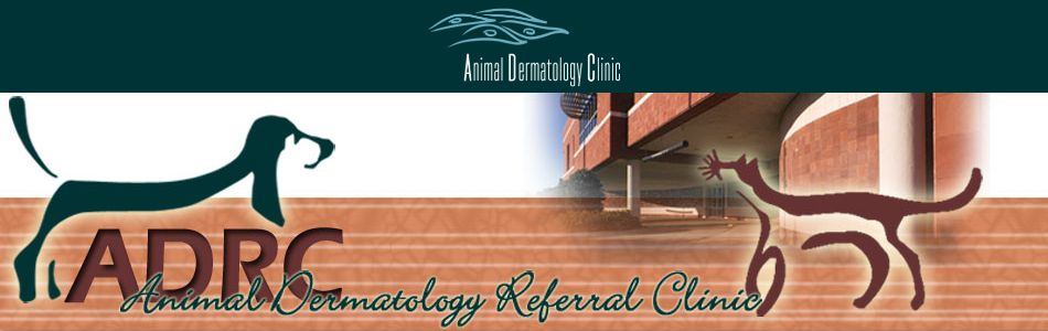 Animal Dermatology Referral Clinic (ADRC) | Dedicated to diagnosis and  treatment of skin diseases and allergies in animals